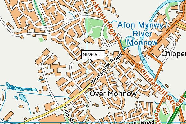 NP25 5DU map - OS VectorMap District (Ordnance Survey) NP25 5DU map - OS VectorMap District (Ordnance Survey)