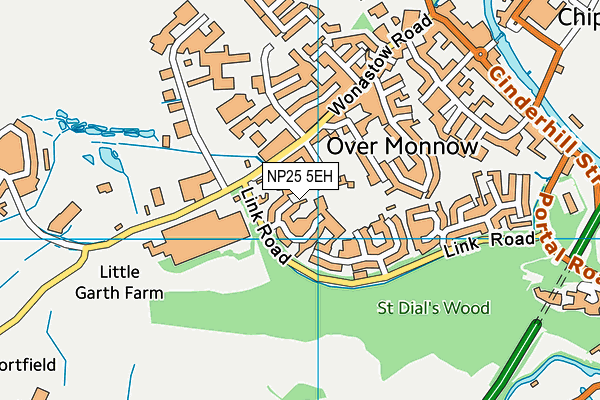 NP25 5EH map - OS VectorMap District (Ordnance Survey) NP25 5EH map - OS VectorMap District (Ordnance Survey)