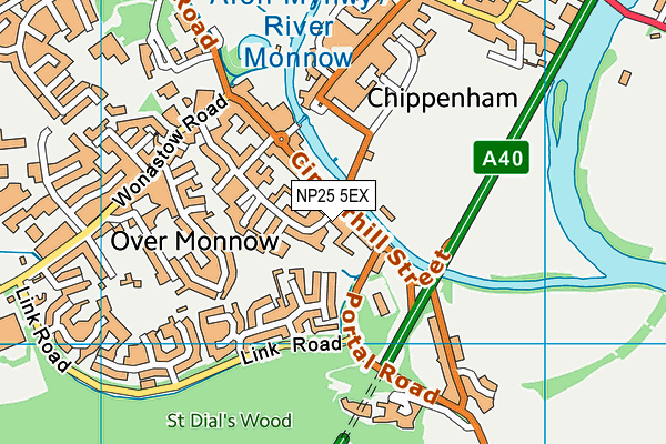 NP25 5EX map - OS VectorMap District (Ordnance Survey) NP25 5EX map - OS VectorMap District (Ordnance Survey)