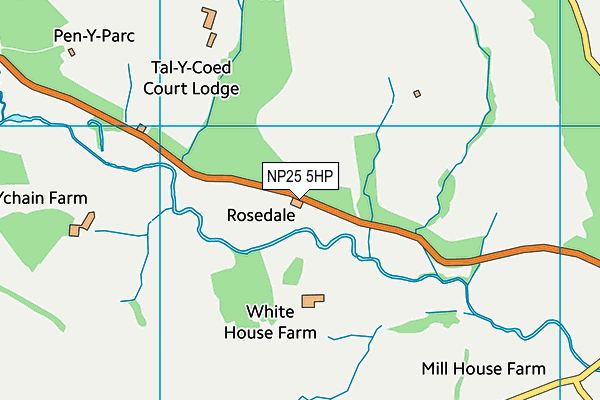 NP25 5HP map - OS VectorMap District (Ordnance Survey) NP25 5HP map - OS VectorMap District (Ordnance Survey)