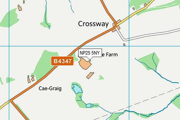 NP25 5NY map - OS VectorMap District (Ordnance Survey) NP25 5NY map - OS VectorMap District (Ordnance Survey)