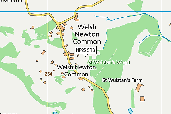 NP25 5RS map - OS VectorMap District (Ordnance Survey) NP25 5RS map - OS VectorMap District (Ordnance Survey)