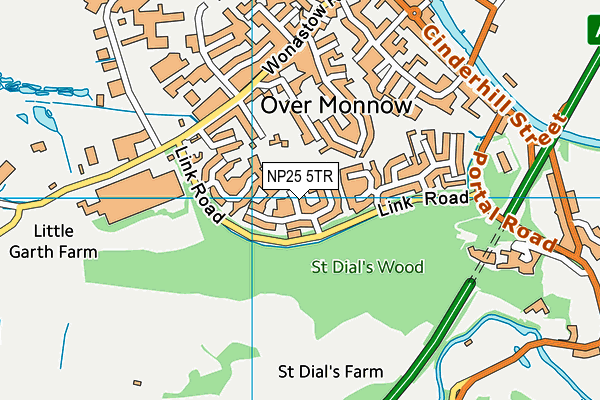NP25 5TR map - OS VectorMap District (Ordnance Survey) NP25 5TR map - OS VectorMap District (Ordnance Survey)