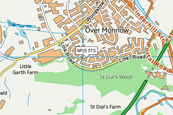 NP25 5TS map - OS VectorMap District (Ordnance Survey) NP25 5TS map - OS VectorMap District (Ordnance Survey)