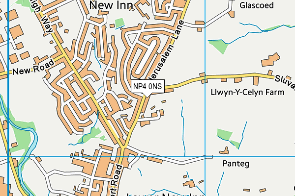 NP4 0NS map - OS VectorMap District (Ordnance Survey) NP4 0NS map - OS VectorMap District (Ordnance Survey)