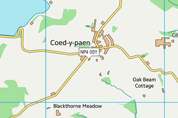 NP4 0SY map - OS VectorMap District (Ordnance Survey)