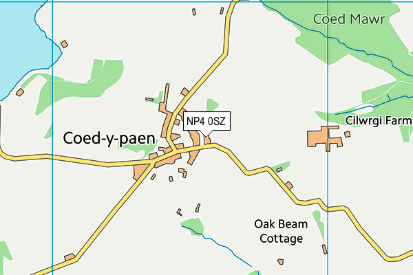 NP4 0SZ map - OS VectorMap District (Ordnance Survey) NP4 0SZ map - OS VectorMap District (Ordnance Survey)