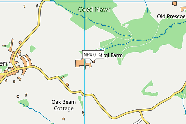 NP4 0TQ map - OS VectorMap District (Ordnance Survey)