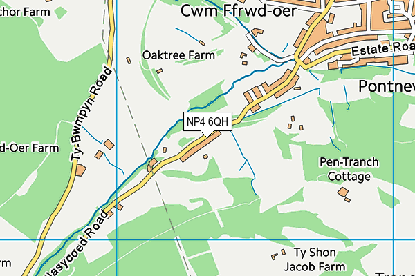NP4 6QH map - OS VectorMap District (Ordnance Survey) NP4 6QH map - OS VectorMap District (Ordnance Survey)
