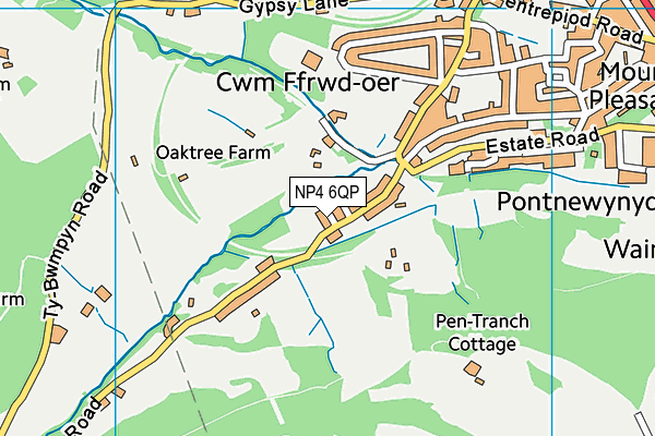 NP4 6QP map - OS VectorMap District (Ordnance Survey)