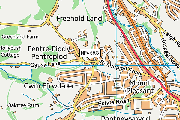 NP4 6RG map - OS VectorMap District (Ordnance Survey) NP4 6RG map - OS VectorMap District (Ordnance Survey)