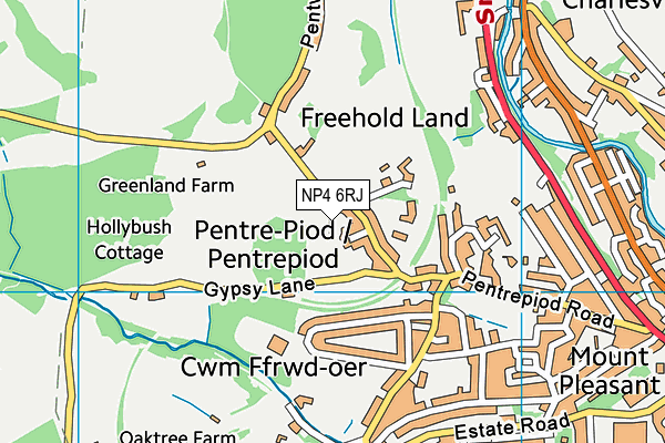 NP4 6RJ map - OS VectorMap District (Ordnance Survey)