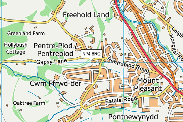 NP4 6RQ map - OS VectorMap District (Ordnance Survey)