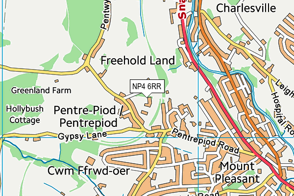NP4 6RR map - OS VectorMap District (Ordnance Survey) NP4 6RR map - OS VectorMap District (Ordnance Survey)