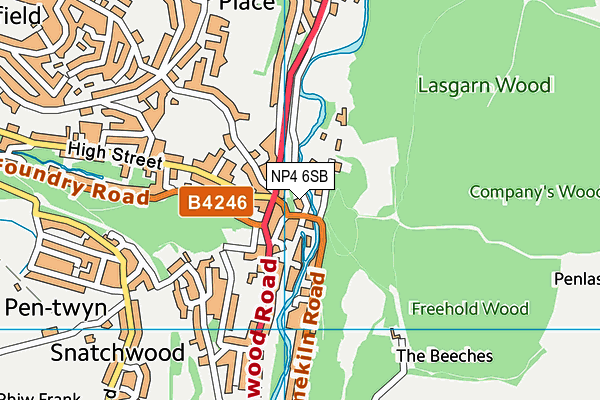 NP4 6SB map - OS VectorMap District (Ordnance Survey) NP4 6SB map - OS VectorMap District (Ordnance Survey)