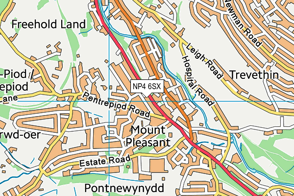 NP4 6SX map - OS VectorMap District (Ordnance Survey) NP4 6SX map - OS VectorMap District (Ordnance Survey)