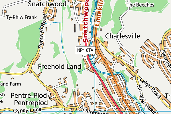 NP4 6TA map - OS VectorMap District (Ordnance Survey) NP4 6TA map - OS VectorMap District (Ordnance Survey)