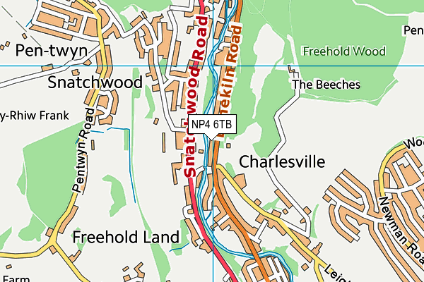 NP4 6TB map - OS VectorMap District (Ordnance Survey) NP4 6TB map - OS VectorMap District (Ordnance Survey)