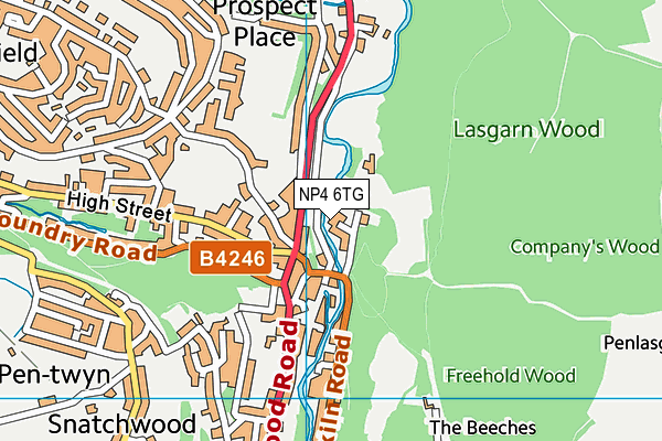 NP4 6TG map - OS VectorMap District (Ordnance Survey) NP4 6TG map - OS VectorMap District (Ordnance Survey)