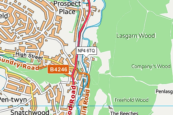 NP4 6TQ map - OS VectorMap District (Ordnance Survey) NP4 6TQ map - OS VectorMap District (Ordnance Survey)