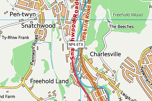 NP4 6TX map - OS VectorMap District (Ordnance Survey) NP4 6TX map - OS VectorMap District (Ordnance Survey)