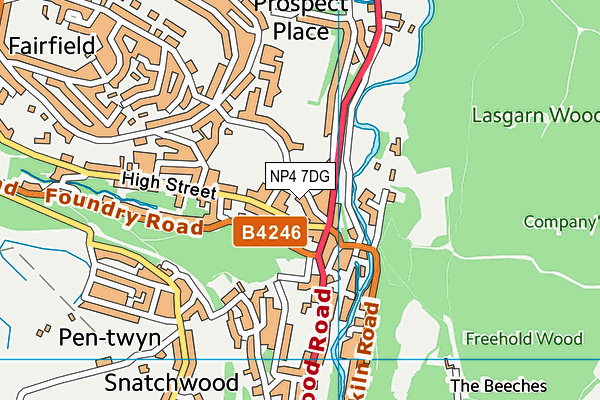 NP4 7DG map - OS VectorMap District (Ordnance Survey)