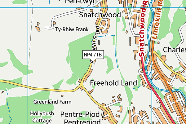 NP4 7TB map - OS VectorMap District (Ordnance Survey) NP4 7TB map - OS VectorMap District (Ordnance Survey)