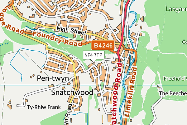 NP4 7TP map - OS VectorMap District (Ordnance Survey) NP4 7TP map - OS VectorMap District (Ordnance Survey)