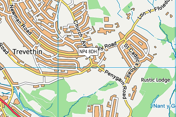 NP4 8DH map - OS VectorMap District (Ordnance Survey) NP4 8DH map - OS VectorMap District (Ordnance Survey)