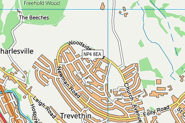 NP4 8EA map - OS VectorMap District (Ordnance Survey)