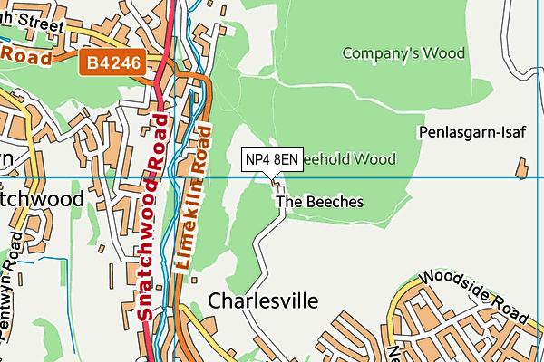 NP4 8EN map - OS VectorMap District (Ordnance Survey) NP4 8EN map - OS VectorMap District (Ordnance Survey)