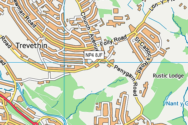 NP4 8JF map - OS VectorMap District (Ordnance Survey)