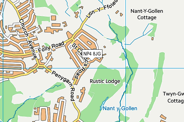 NP4 8JG map - OS VectorMap District (Ordnance Survey) NP4 8JG map - OS VectorMap District (Ordnance Survey)