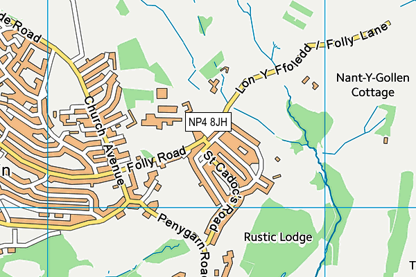 NP4 8JH map - OS VectorMap District (Ordnance Survey) NP4 8JH map - OS VectorMap District (Ordnance Survey)