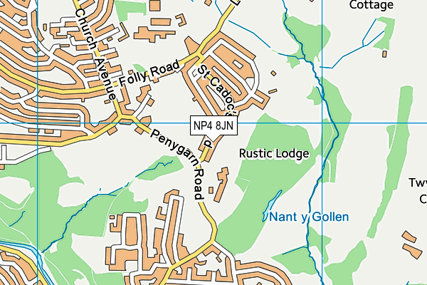 NP4 8JN map - OS VectorMap District (Ordnance Survey) NP4 8JN map - OS VectorMap District (Ordnance Survey)