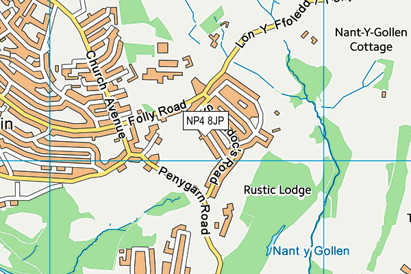 NP4 8JP map - OS VectorMap District (Ordnance Survey) NP4 8JP map - OS VectorMap District (Ordnance Survey)