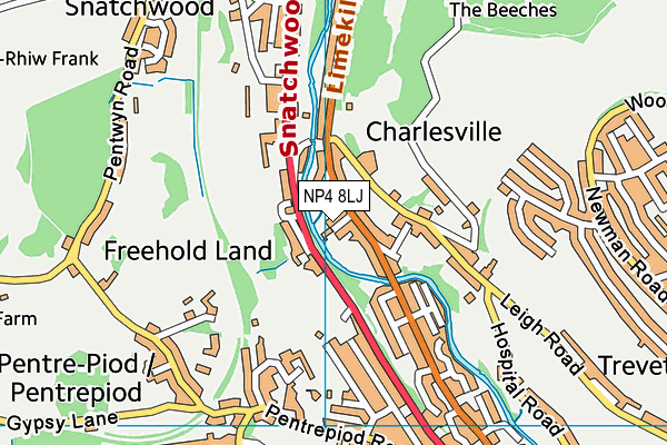 NP4 8LJ map - OS VectorMap District (Ordnance Survey) NP4 8LJ map - OS VectorMap District (Ordnance Survey)