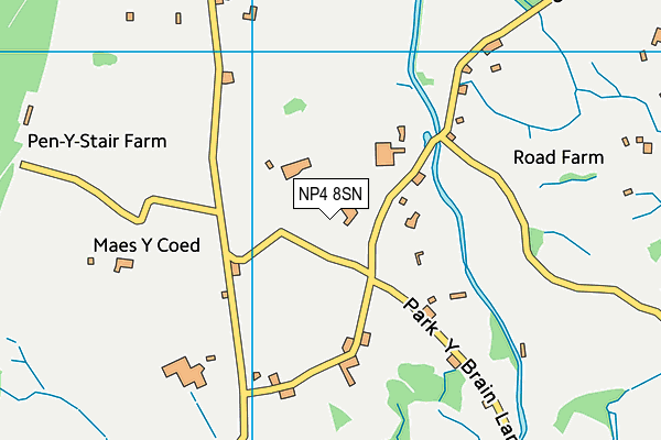 NP4 8SN map - OS VectorMap District (Ordnance Survey) NP4 8SN map - OS VectorMap District (Ordnance Survey)