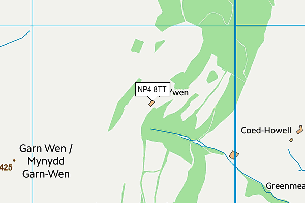 NP4 8TT map - OS VectorMap District (Ordnance Survey) NP4 8TT map - OS VectorMap District (Ordnance Survey)