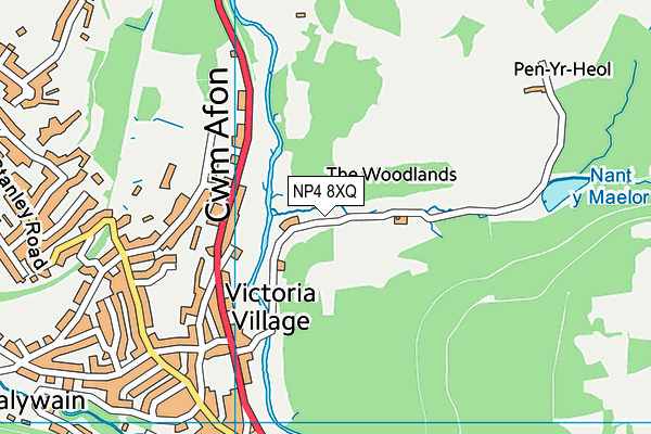 NP4 8XQ map - OS VectorMap District (Ordnance Survey) NP4 8XQ map - OS VectorMap District (Ordnance Survey)