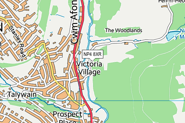 NP4 8XR map - OS VectorMap District (Ordnance Survey) NP4 8XR map - OS VectorMap District (Ordnance Survey)