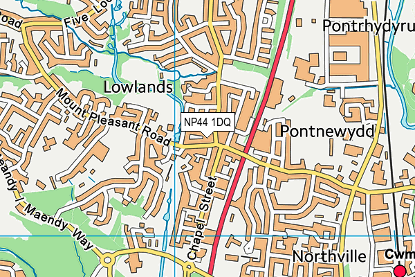 NP44 1DQ map - OS VectorMap District (Ordnance Survey) NP44 1DQ map - OS VectorMap District (Ordnance Survey)