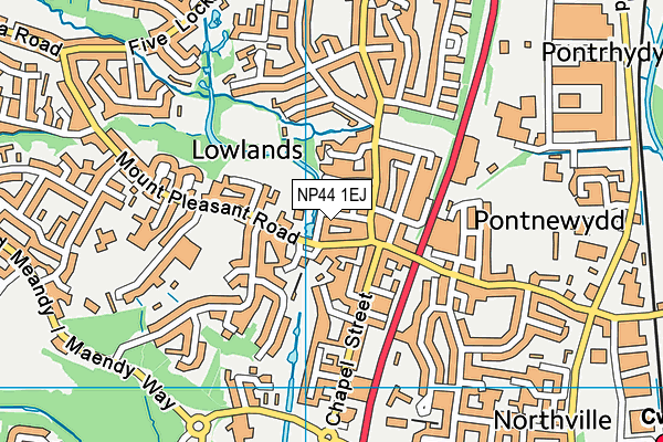 NP44 1EJ map - OS VectorMap District (Ordnance Survey) NP44 1EJ map - OS VectorMap District (Ordnance Survey)