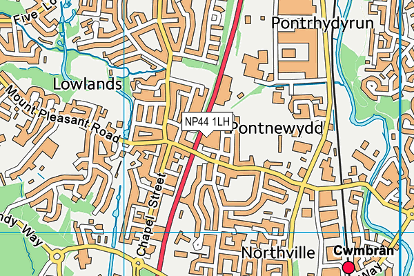 NP44 1LH map - OS VectorMap District (Ordnance Survey) NP44 1LH map - OS VectorMap District (Ordnance Survey)