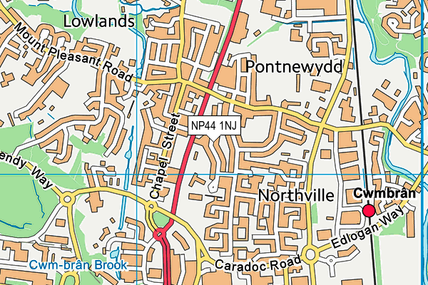 NP44 1NJ map - OS VectorMap District (Ordnance Survey) NP44 1NJ map - OS VectorMap District (Ordnance Survey)