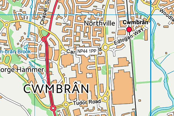 NP44 1PP map - OS VectorMap District (Ordnance Survey) NP44 1PP map - OS VectorMap District (Ordnance Survey)