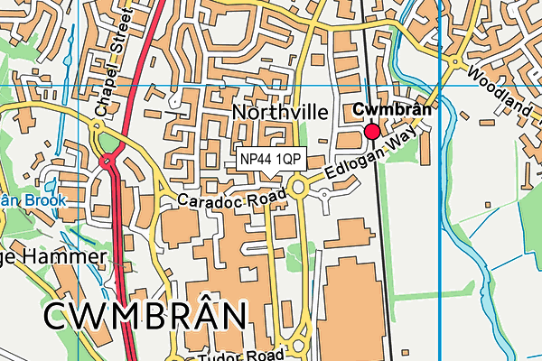 NP44 1QP map - OS VectorMap District (Ordnance Survey) NP44 1QP map - OS VectorMap District (Ordnance Survey)