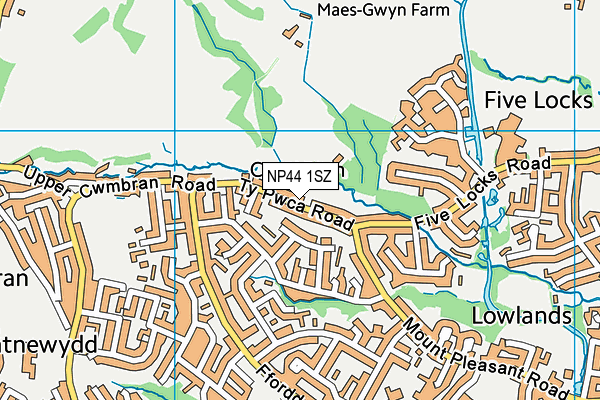 NP44 1SZ map - OS VectorMap District (Ordnance Survey) NP44 1SZ map - OS VectorMap District (Ordnance Survey)