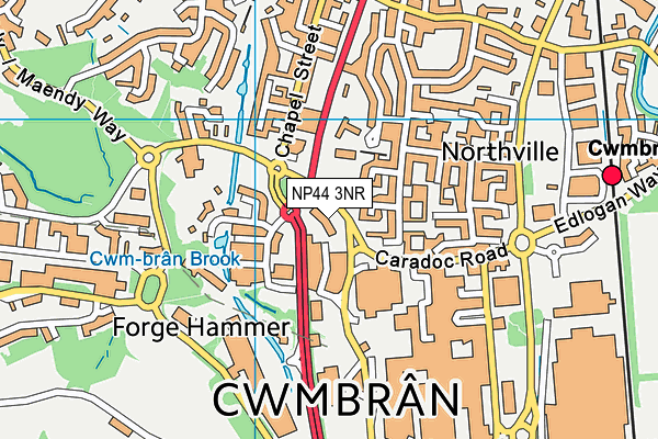 NP44 3NR map - OS VectorMap District (Ordnance Survey) NP44 3NR map - OS VectorMap District (Ordnance Survey)