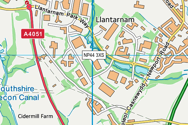 NP44 3XS map - OS VectorMap District (Ordnance Survey) NP44 3XS map - OS VectorMap District (Ordnance Survey)